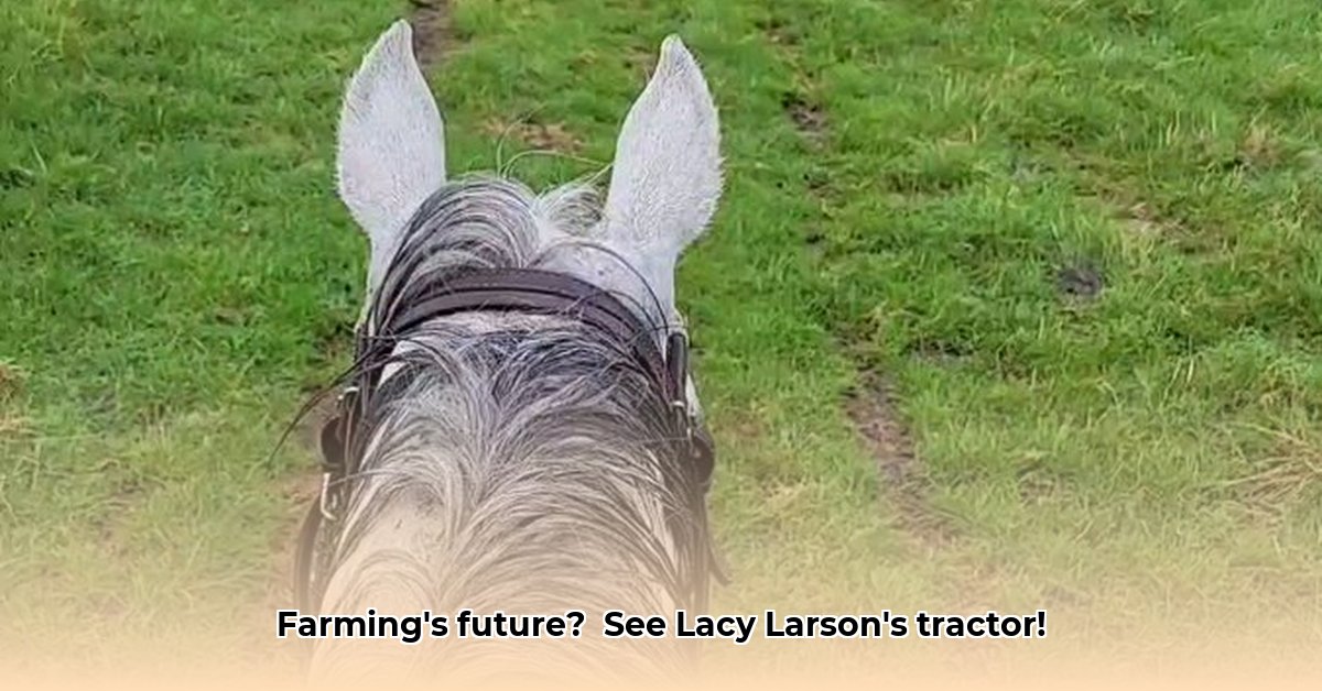 lacy-larson-tractor-video